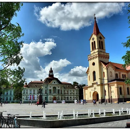 Vojvodina Ξενοδοχείο Ζρένιανιν