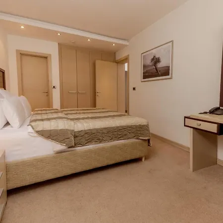 Vojvodina Ξενοδοχείο Ζρένιανιν