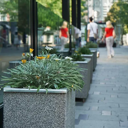 Vojvodina 4* Zrenjanin